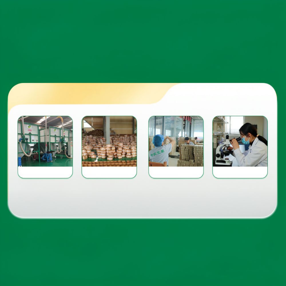 Бездымный карбонизированный мо – обзор и цена Therapy Health And Wellness