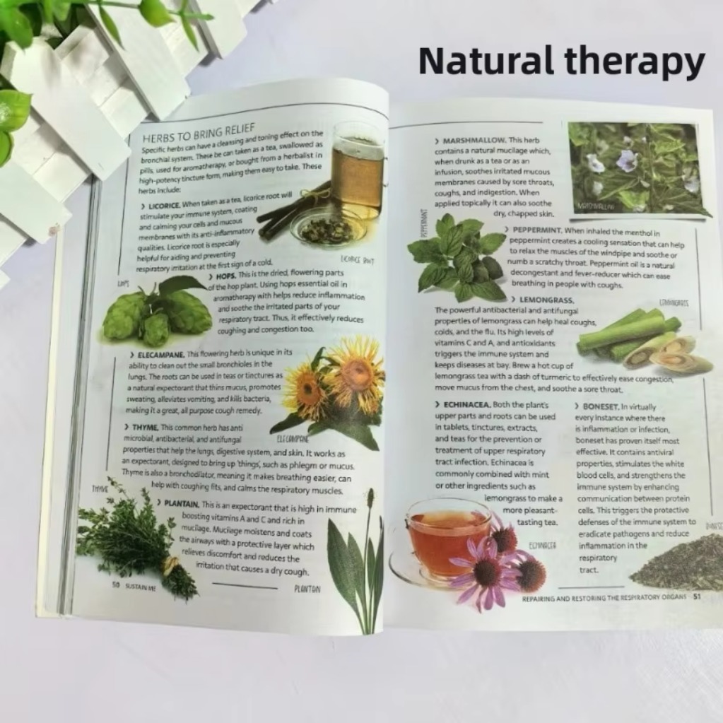 Помоги мне, Барбара О'Нилл. Сп – обзор и цена Health Wellness Lifestyle